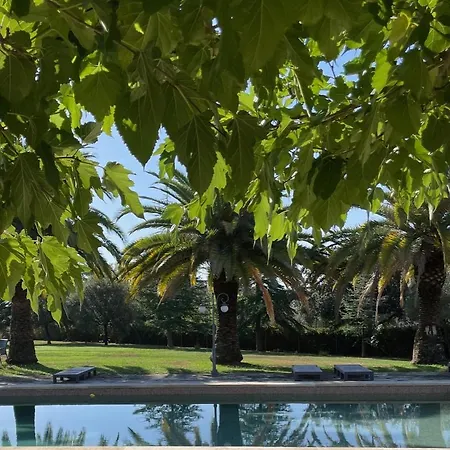 Bed & Breakfast Mas Feliu Turismo Rural