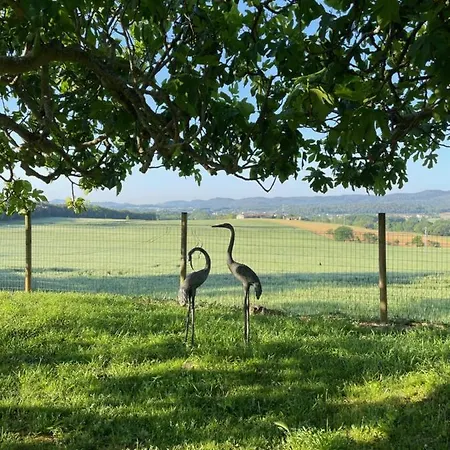Mas Feliu Turismo Rural Bed & Breakfast