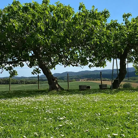 Bed & Breakfast Mas Feliu Turismo Rural
