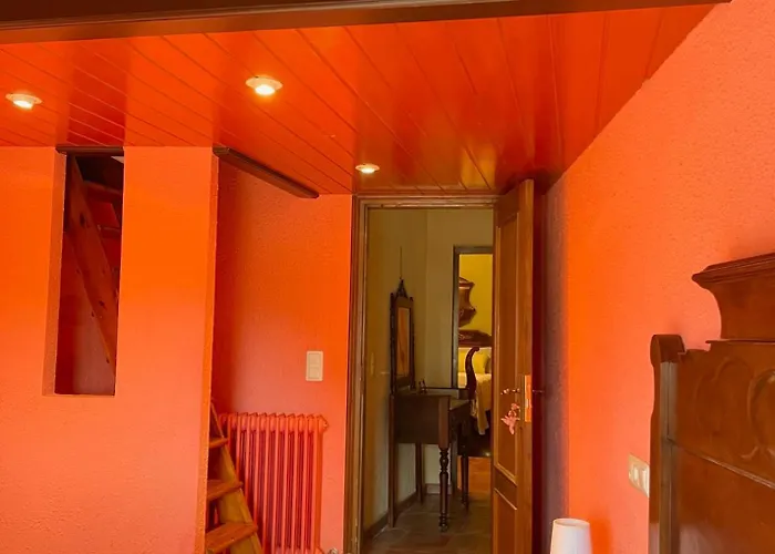 Bed & Breakfast Mas Feliu